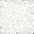 02058 Crayon White Glass Seed Beads