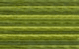 4066 Fresh Cut Grass - DMC Color Variation Thread