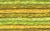 4070 Autumn Leaves - DMC Color Variation Thread