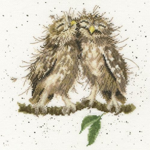 Bothy Threads Birds of a Feather - Hannah Dale cross stitch kit