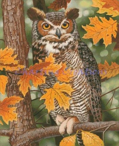 Charting Creations Autumn Owl printed cross stitch chart