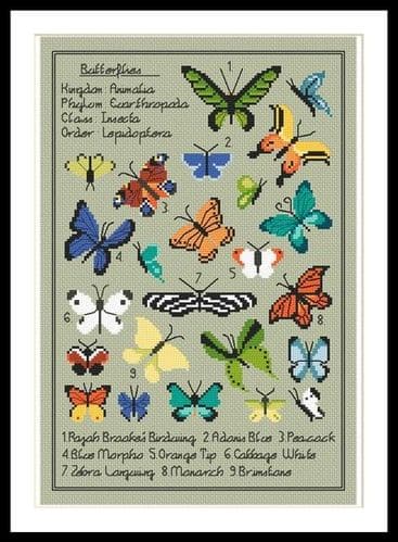 Little Dove Designs Kaleidoscope of Butterflies printed cross stitch chart